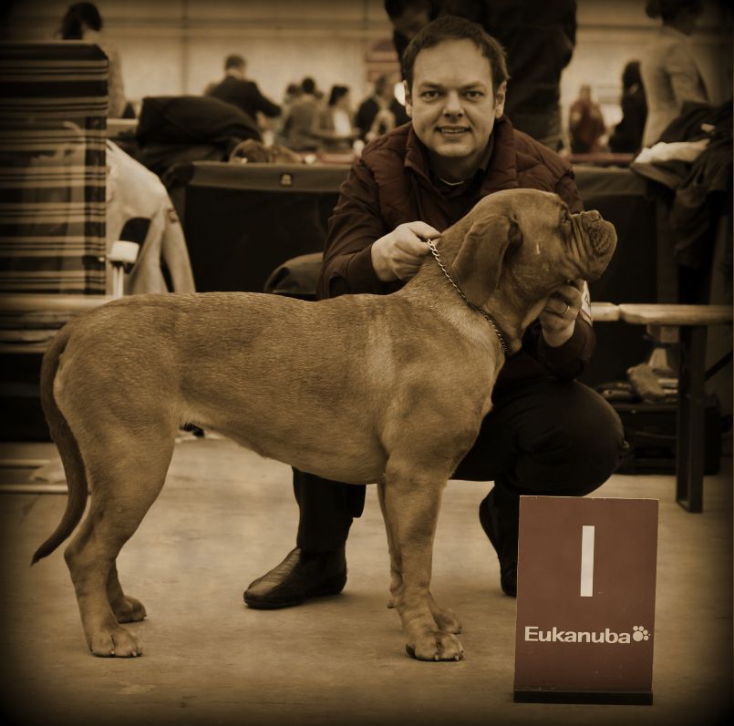 ashantishowleiden1eplace2013